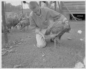 Man with a turkey